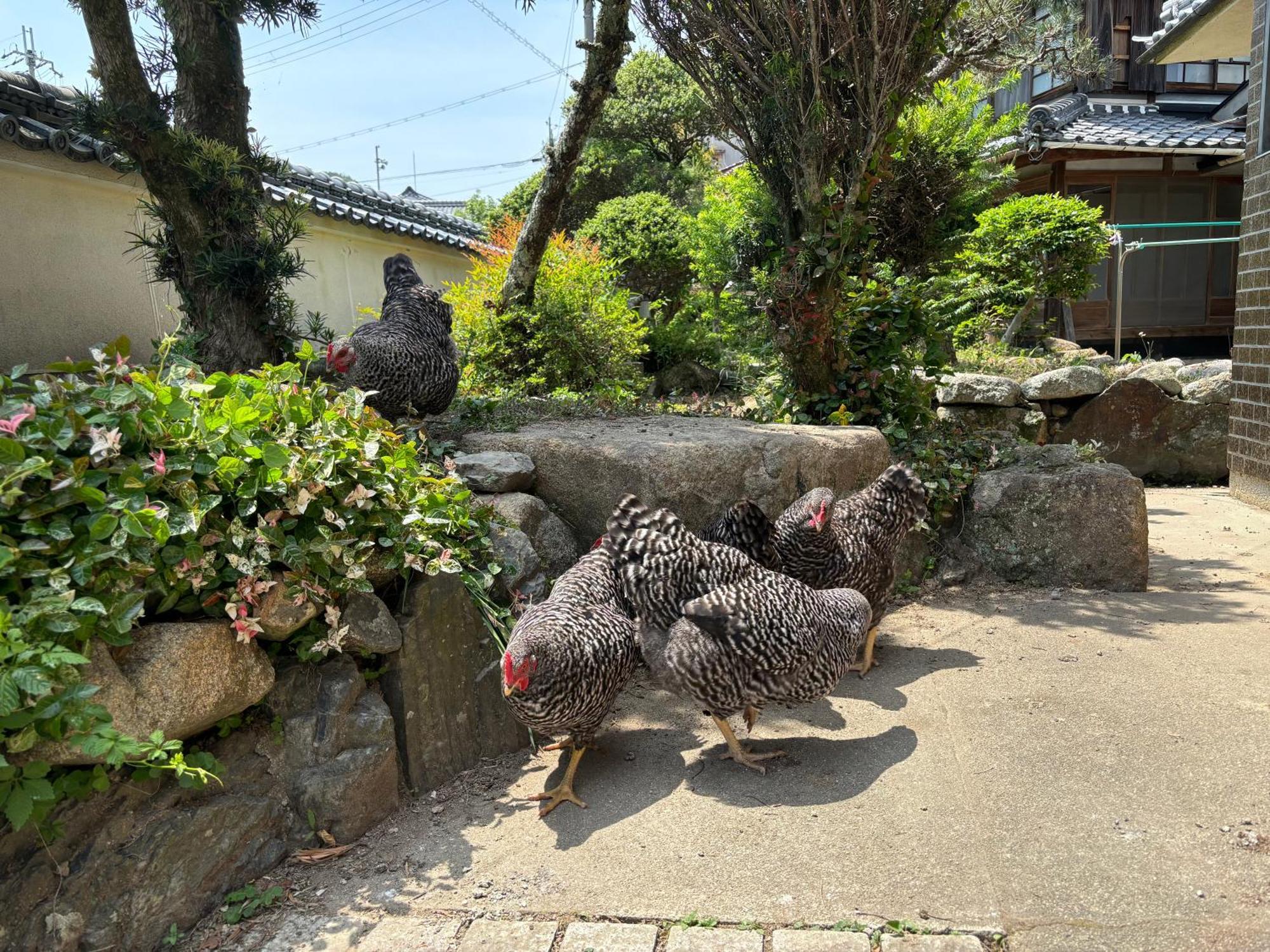 Osaka Nose Farmer'S Guest House　Yasuda Farm エクステリア 写真